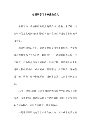 赴酒钢学习考察报告范文