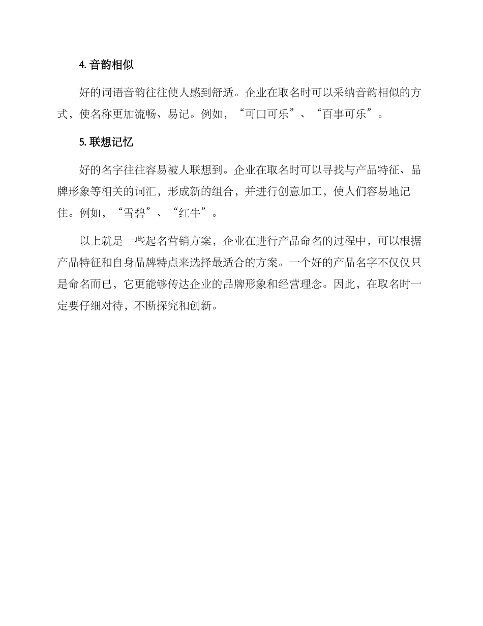 起名营销方案_第2页