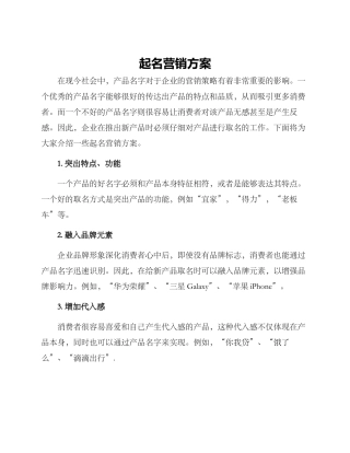 起名营销方案