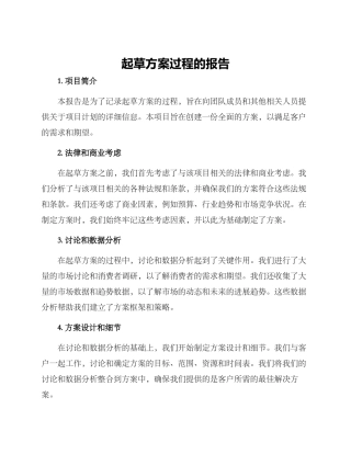 起草方案过程的报告