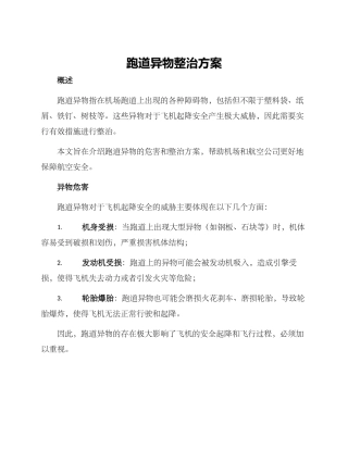 跑道异物整治方案