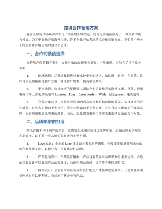 跨境合作营销方案