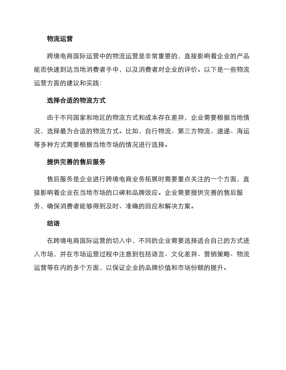 跨境电商国际运营方案_第3页