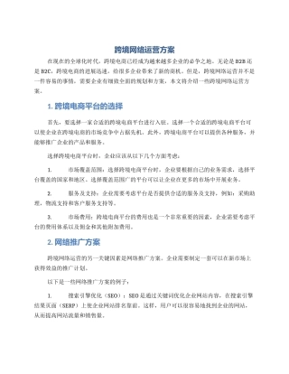跨境网络运营方案
