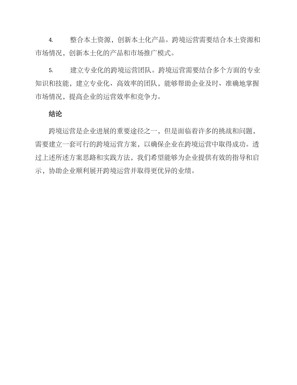跨境运营方案_第3页