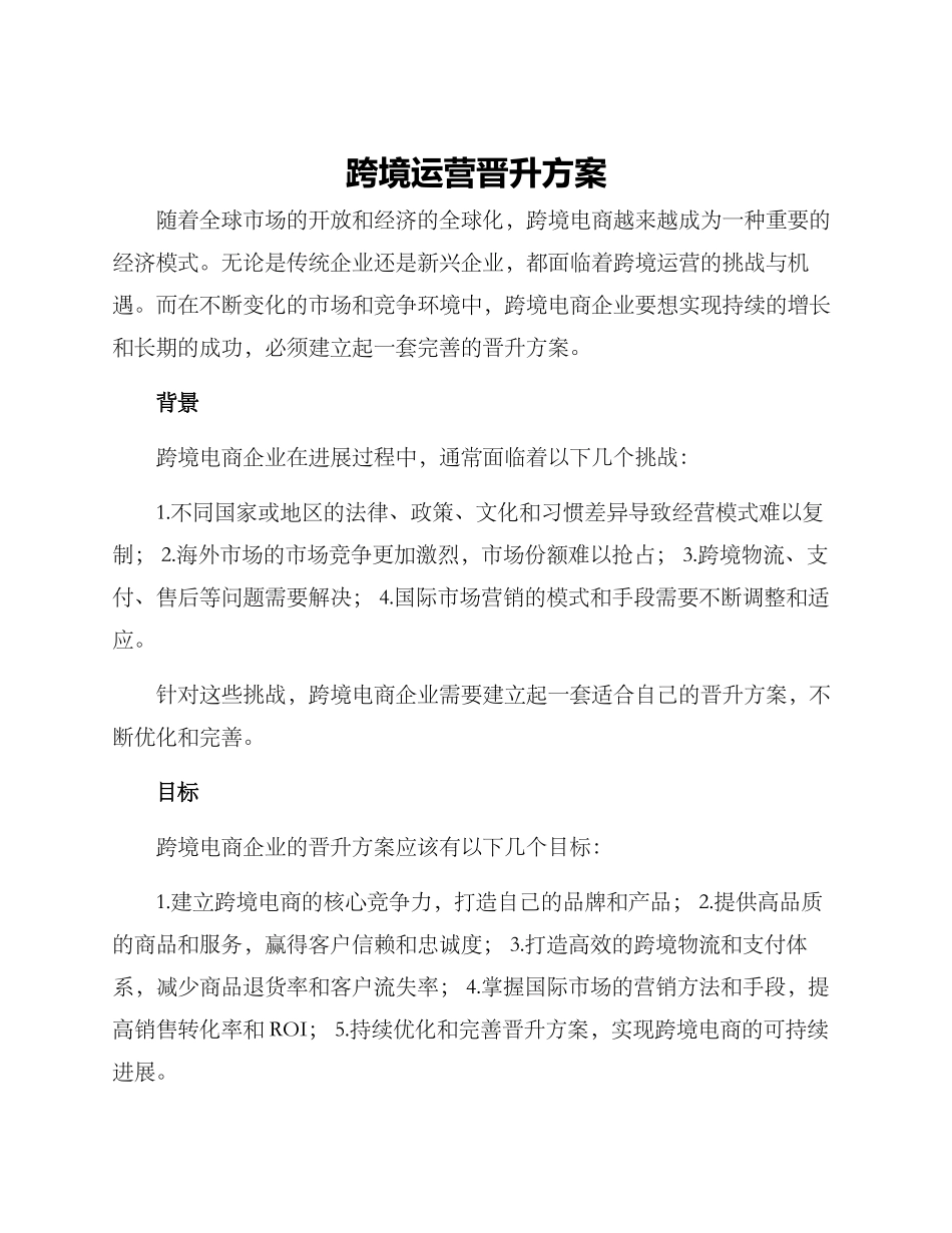 跨境运营晋升方案_第1页