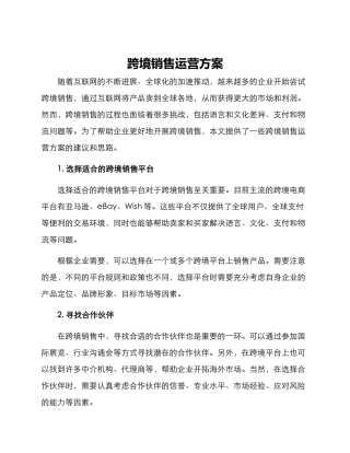 跨境销售运营方案