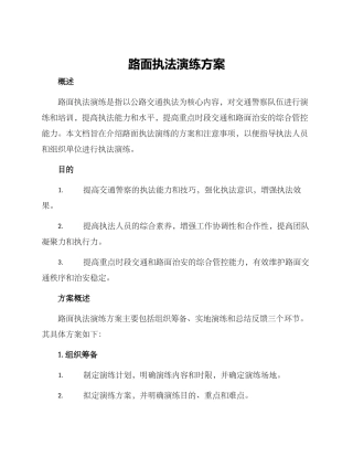 路面执法演练方案