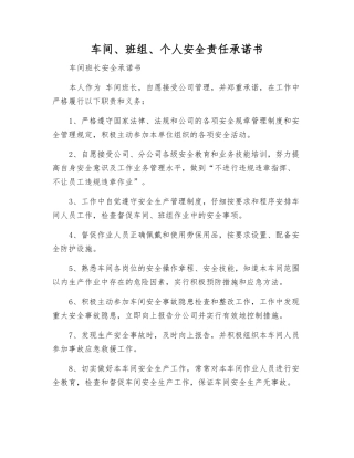车间、班组、个人安全责任承诺书