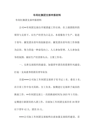 车间红旗团支部申报材料