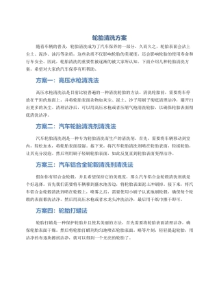 轮胎清洗方案