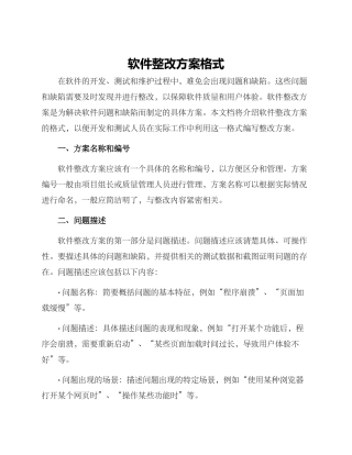 软件整改方案格式