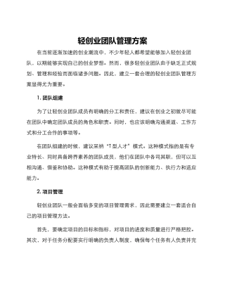 轻创业团队管理方案