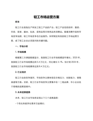 轻工市场运营方案