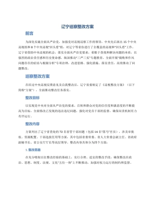 辽宁巡察整改方案