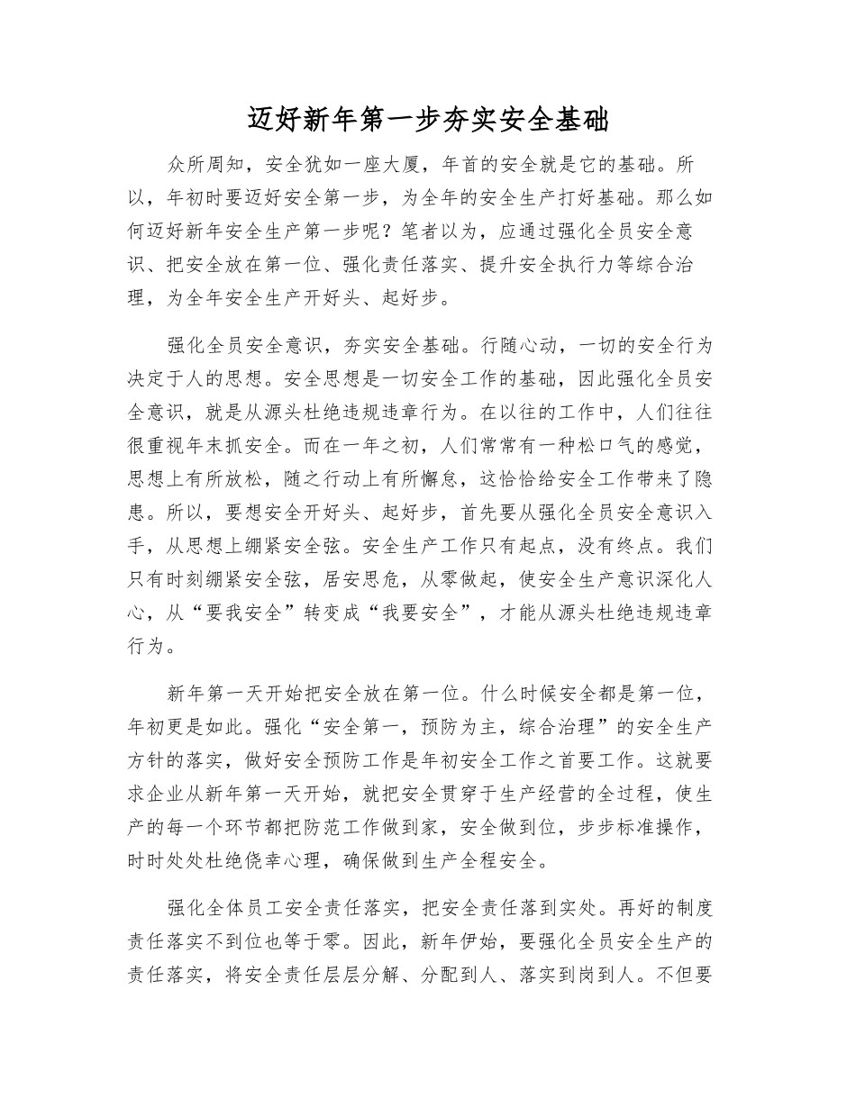 迈好新年第一步夯实安全基础_第1页