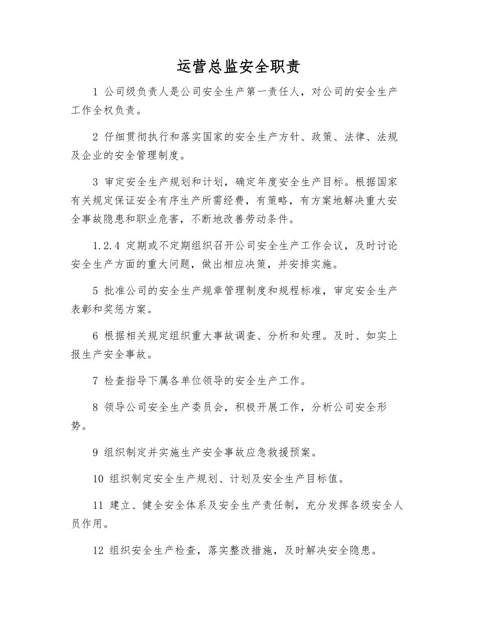 运营总监安全职责_第1页