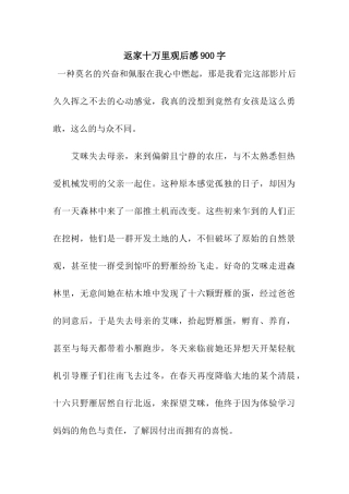 返家十万里观后感900字