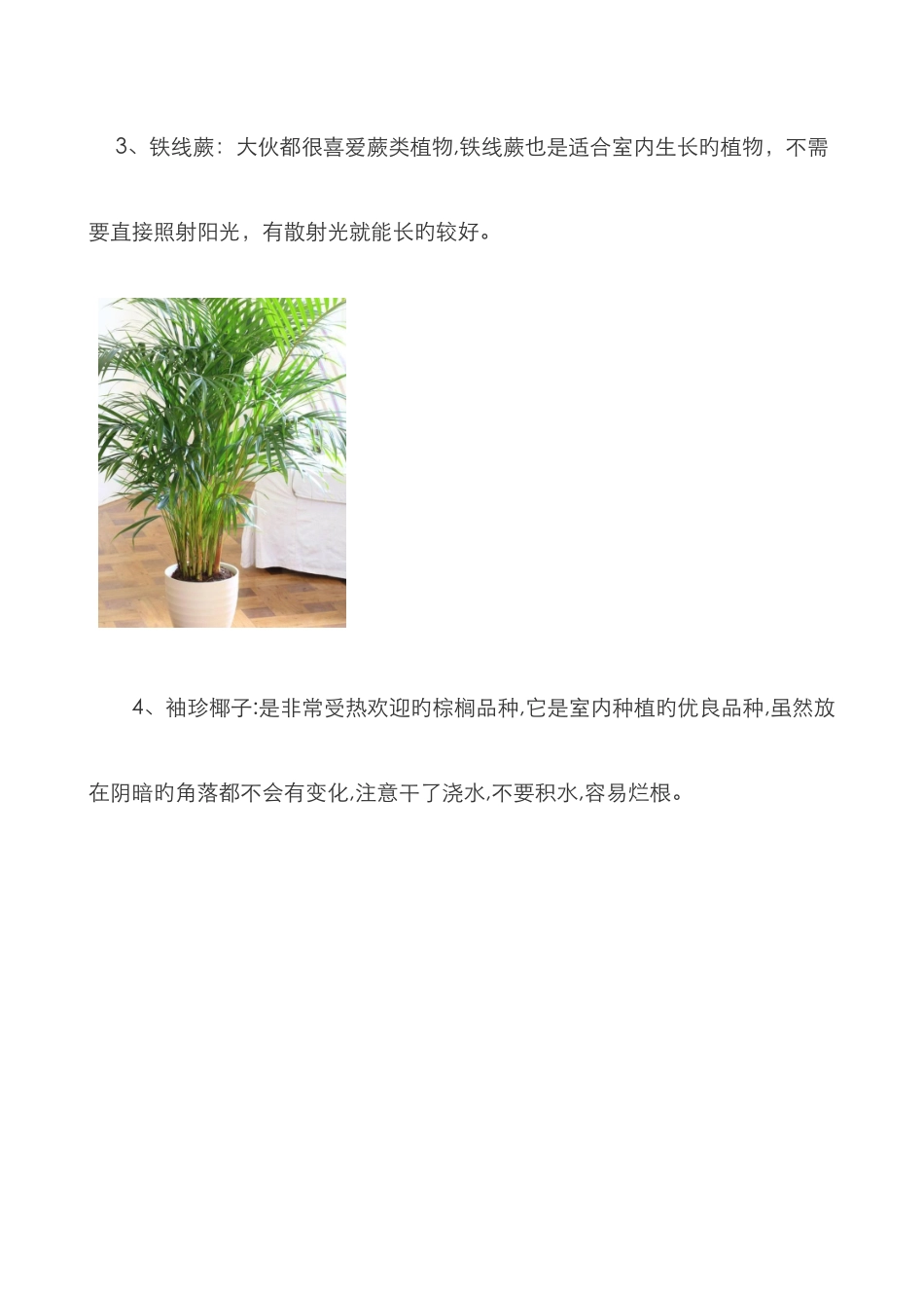这17种植物生长不需要阳光-非常适合室内种植_第3页
