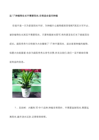 这17种植物生长不需要阳光-非常适合室内种植