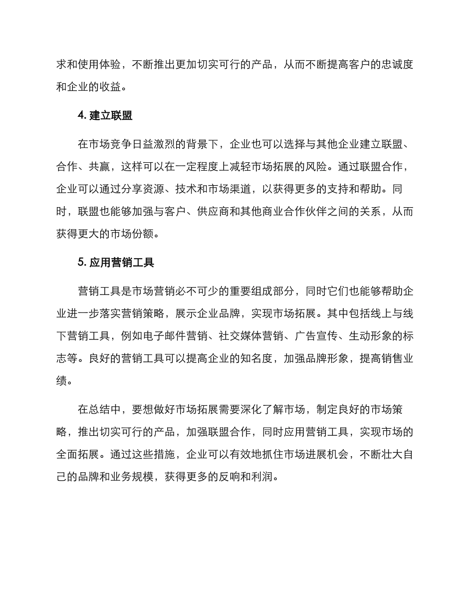 进军市场方案_第2页