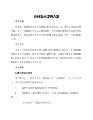 进村宣传项目方案