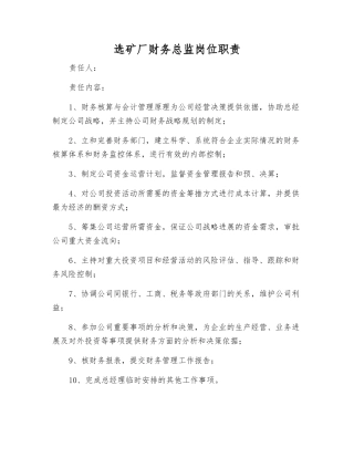 选矿厂财务总监岗位职责