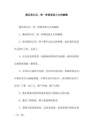 遇见你以后-每一秒都是我人生的巅峰