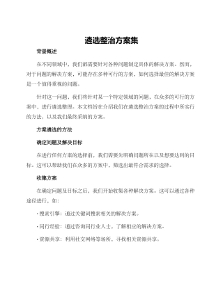 遴选整治方案集