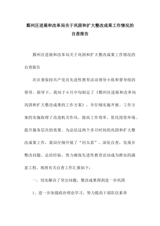 鄞州区发展和改革局关于巩固和扩大整改成果工作情况的自查报告