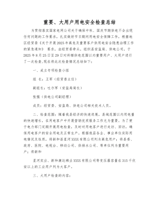 重要、大用户用电安全检查总结