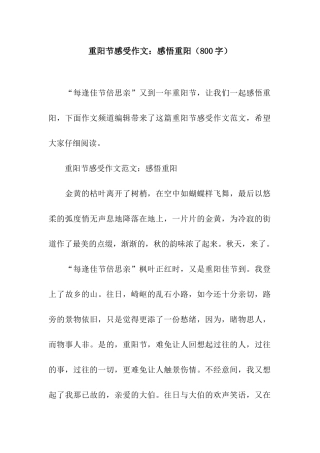 重阳节感受作文感悟重阳