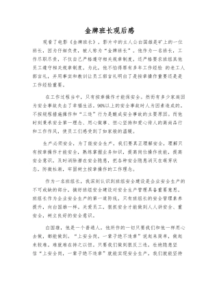 金牌班长观后感