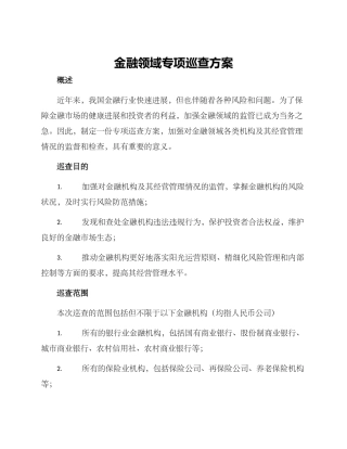 金融领域专项巡查方案