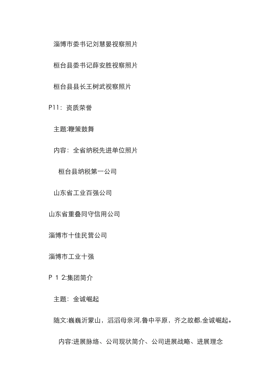 金诚石化画册文案_第3页