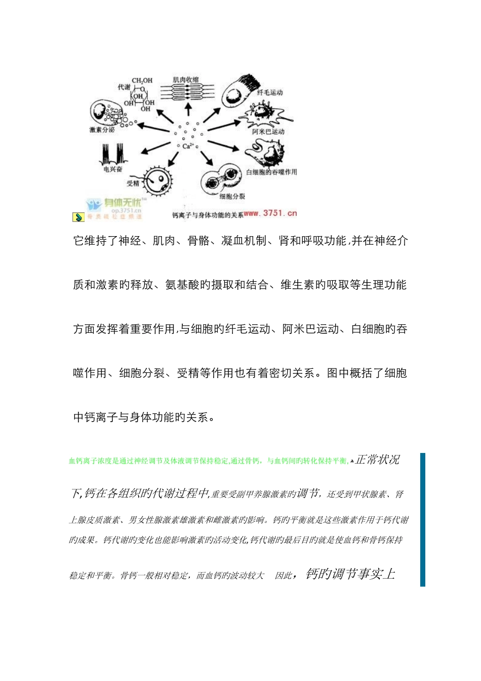 钙的生理作用和血钙离子浓度的维持_第2页