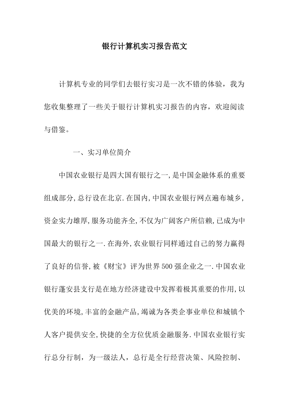 银行计算机实习报告范文_第1页