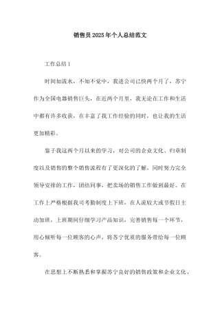 销售员2025年个人总结范文