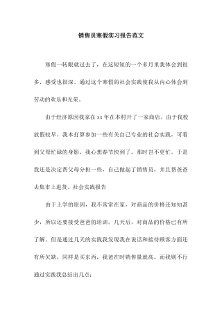 销售员寒假实习报告范文
