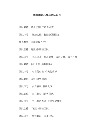 销售团队名称与团队口号