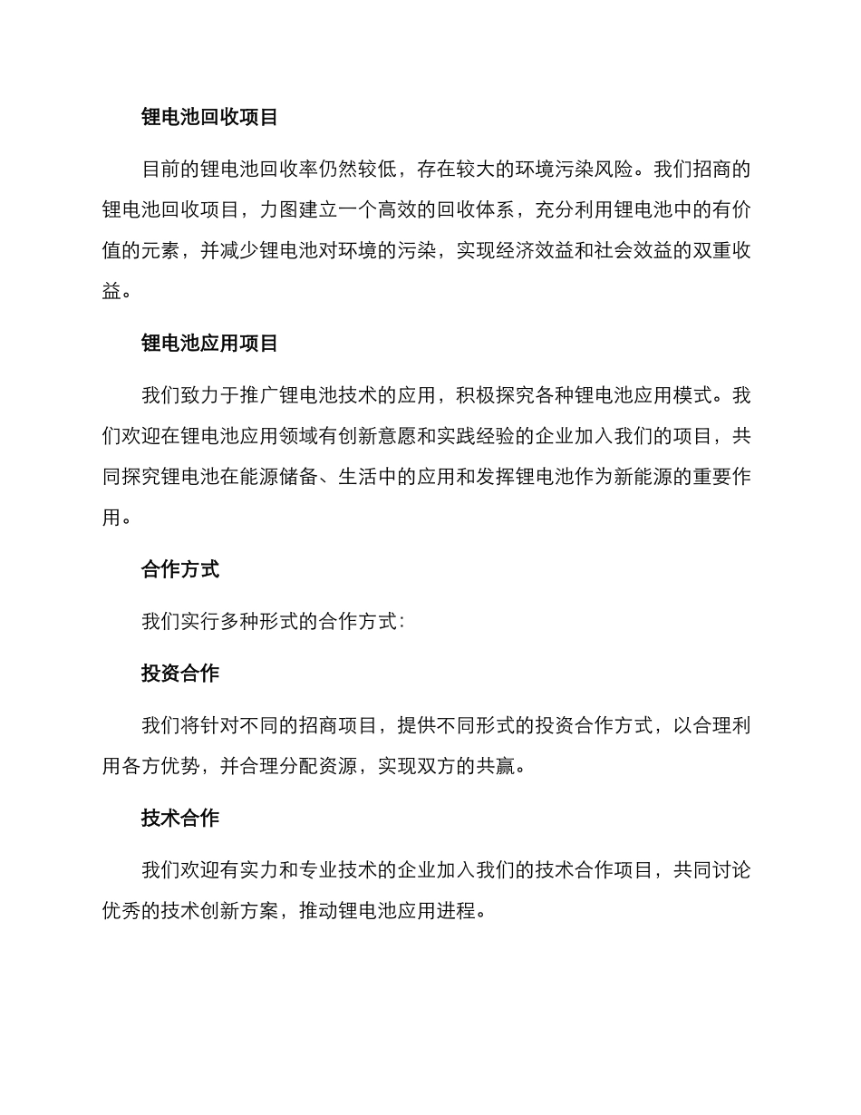 锂电企业招商方案_第2页