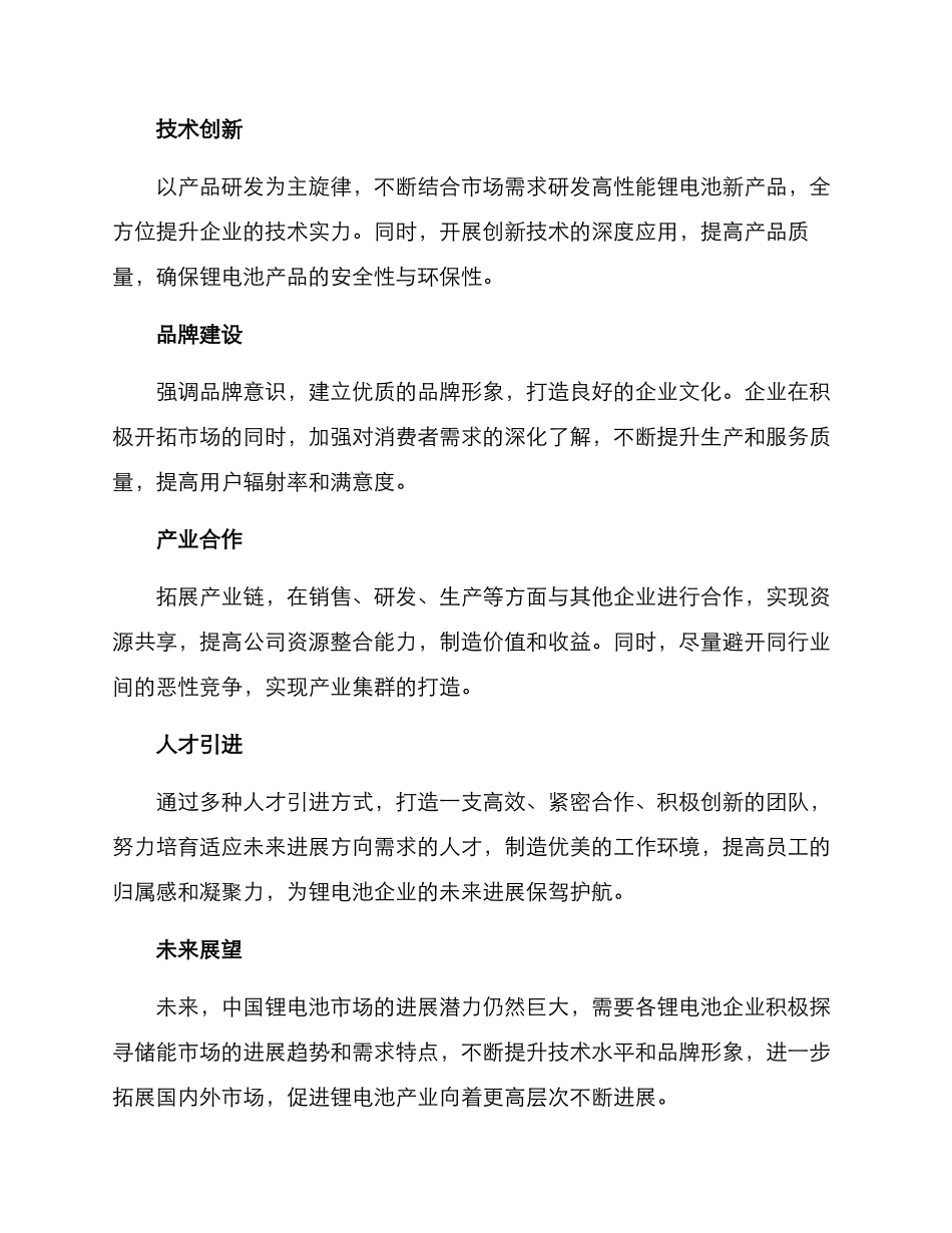 锂电池企业发展方案_第3页