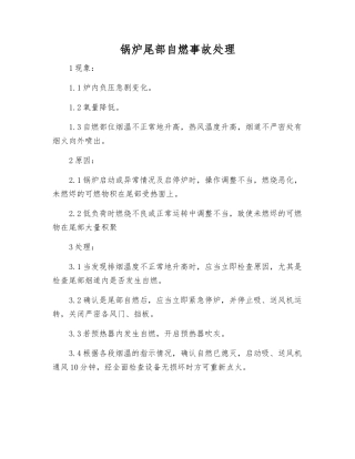 锅炉尾部自燃事故处理