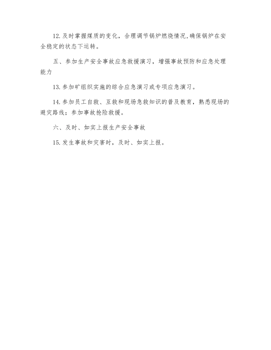 锅炉运行工安全生产责任制_第2页