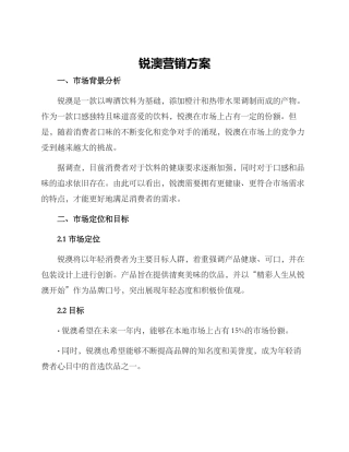 锐澳营销方案