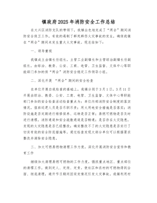 镇人民政府2025年消防安全工作总结