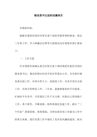 镇党委书记述职述廉报告