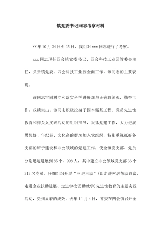 镇党委书记同志考察材料