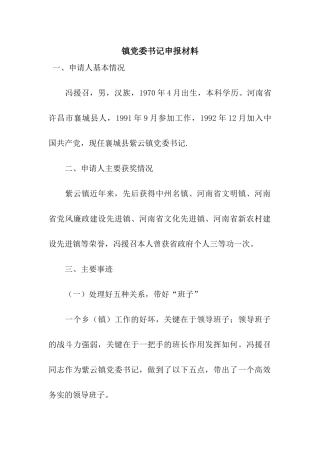 镇党委书记申报材料