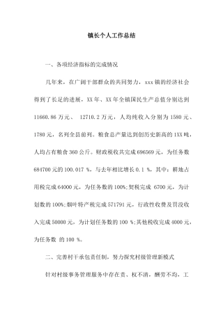 镇长个人工作总结